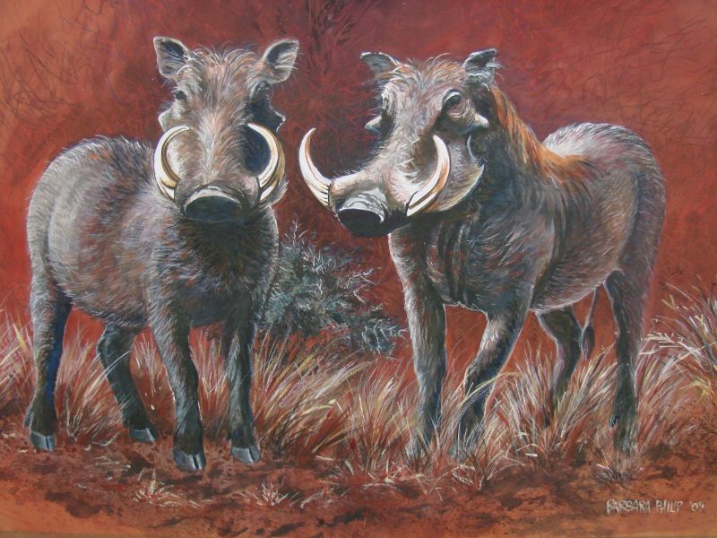 Two Warthogs.(620 x 430 mm terracotta paper with watercolour, gouache and pastel.)