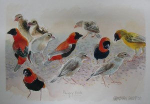 Sketch of The Birds Feeding