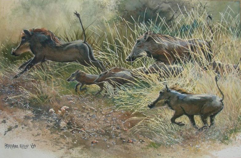 Warthog group running.(515 x 330 mm. Watercolour on stretched watercolour paper.)