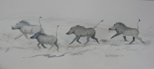 Warthogs. (560 x 250 mm. Pencil and wash sketch, on unstretched watercolour paper.)