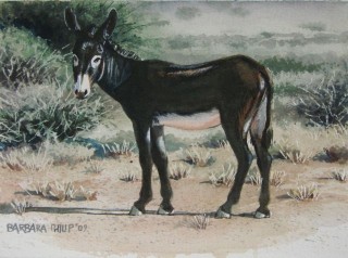 Donkey. watercolour. 225 x 160 mm