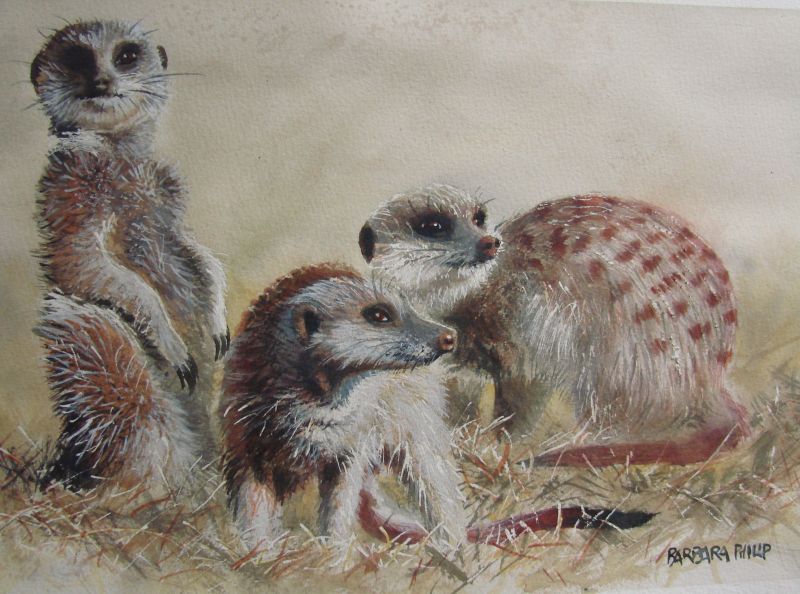 Three Meercats 2, Watercolour on Saunders Waterford, 340 x 250 mm.