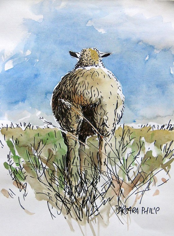 sheep sketch, "I know you're there"